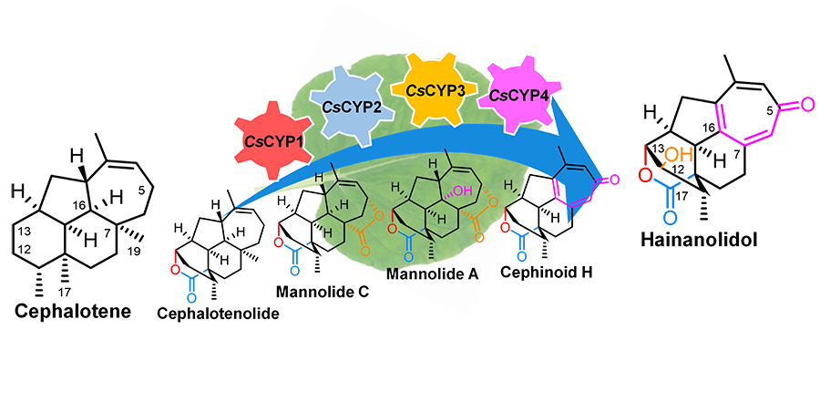 1-WEB.png